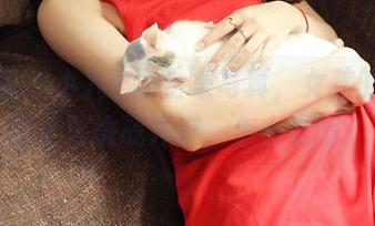 青豆客 – 小九Vin全集写真，女孩的那份甜美与挑战并存，怎么说呢。